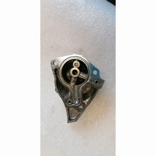Carter moteur chromé Daelim 125